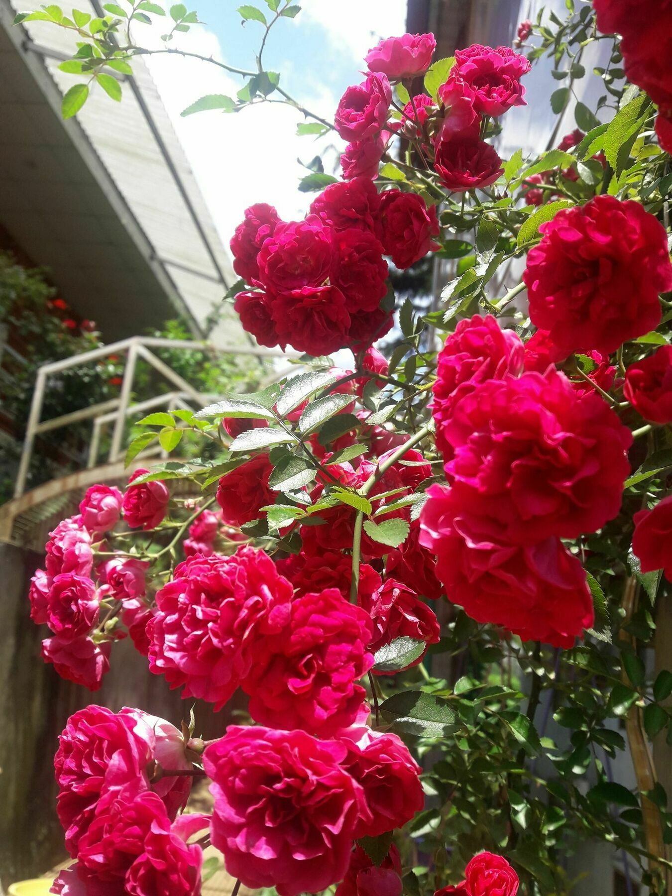 סא פה Dang Khoa Hotel מראה חיצוני תמונה